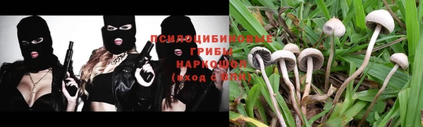 дмт Абдулино